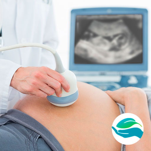 УЗИ исследование при беременности во 2 и 3 триместре